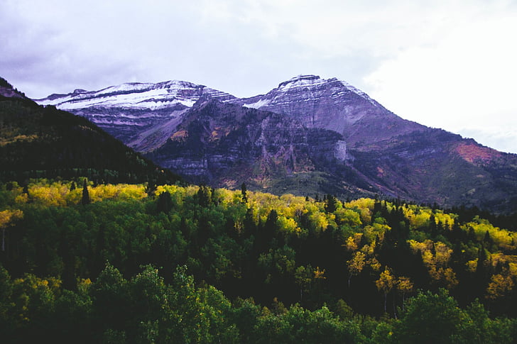 highland, view, trees, surrounded, mountains, autumn, beauty