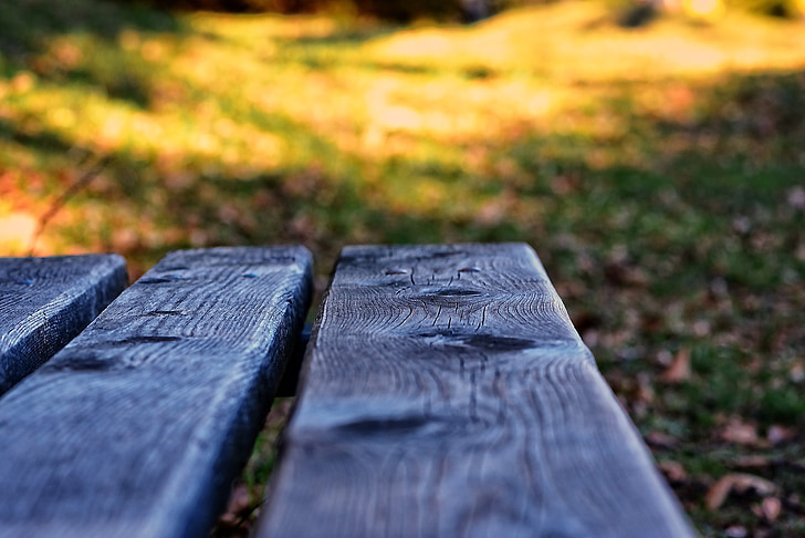 bank, wooden bench, bench, wood, out, nature, rest