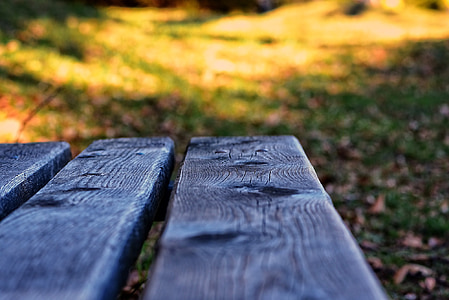 bank, wooden bench, bench, wood, out, nature, rest