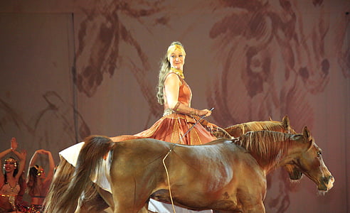 horse, show, horse show, dressage, horses, horseback riding, performance