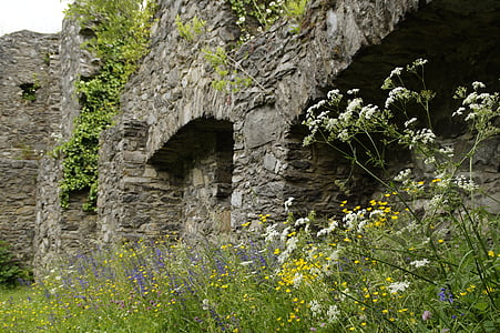 Schloss, Ruine, im Mittelalter, Hohentwiel, Hegau, am Bodensee, singen
