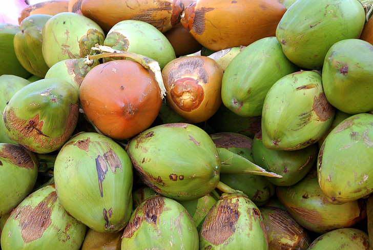 dừa, màu xanh lá cây