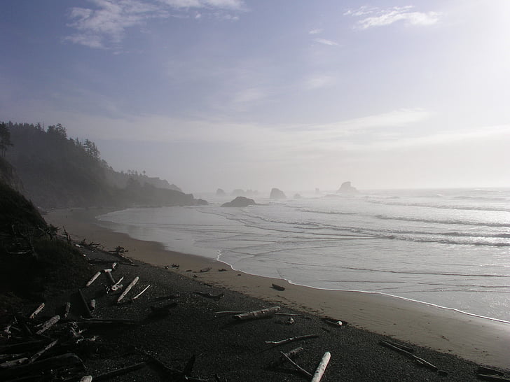 Ocean, Oregon, Pacific, kyst, bølger, kystlinje, landskab