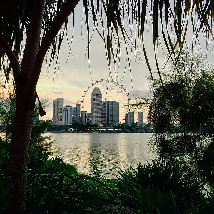 야외에서, 자연, 조 경, 관람차, 싱가포르, 아키텍처, 여행 목적지