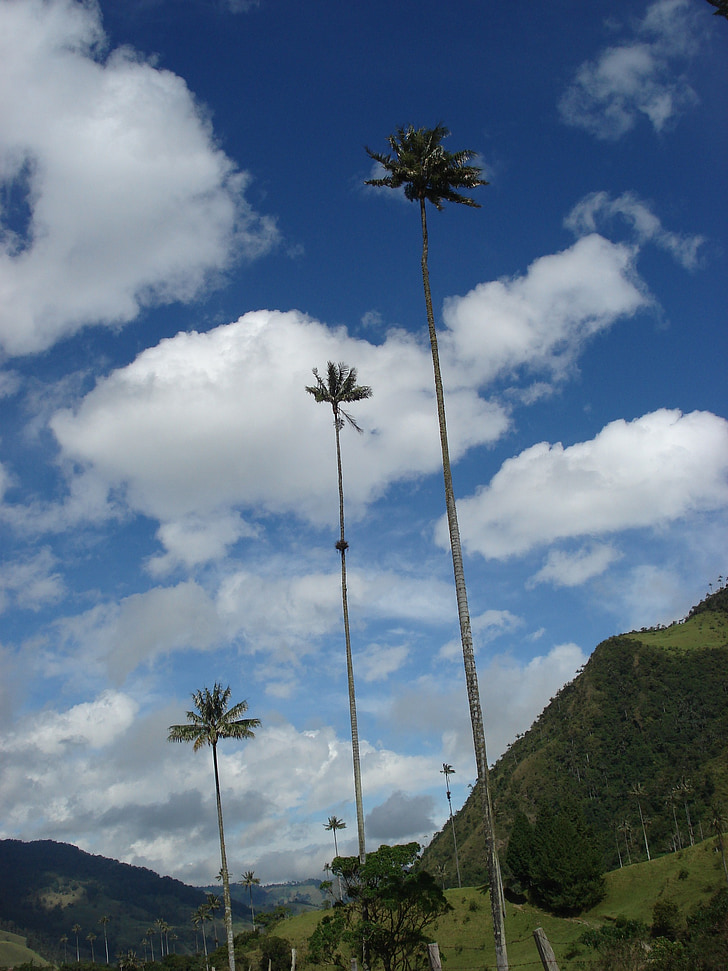 chmury, niebo, krajobraz, Palmas de Gran Canaria
