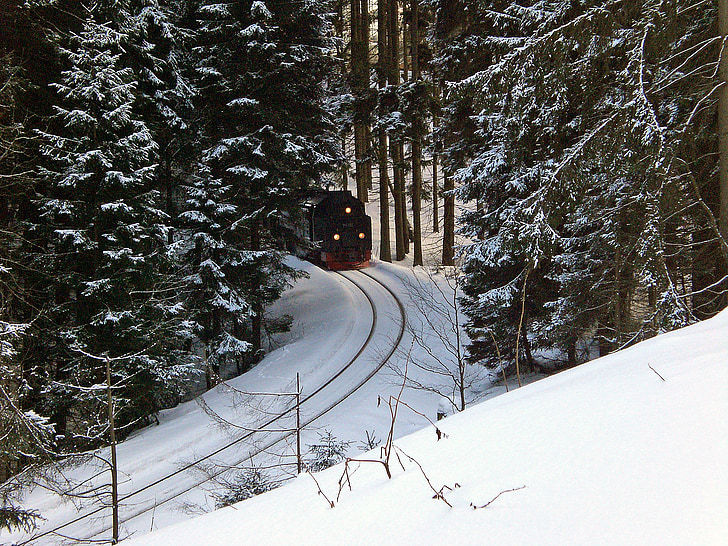 sveķu, šaursliežu dzelzceļa, Brocken dzelzceļa, lokomotīves, ziemas, ziemas, sniega