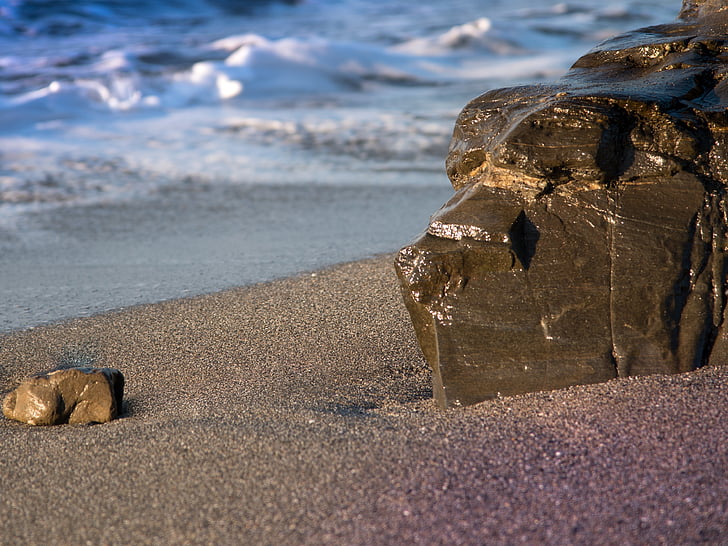 rocha, pedra, mar, praia, cão, textura da rocha, natureza