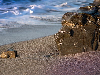 rocha, pedra, mar, praia, cão, textura da rocha, natureza