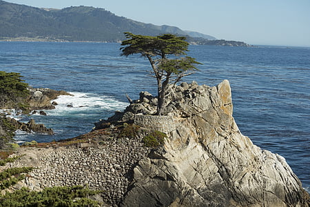 Pebble beach, strandlinjen, Kalifornien, USA, Pacific, vacker natur, kusten