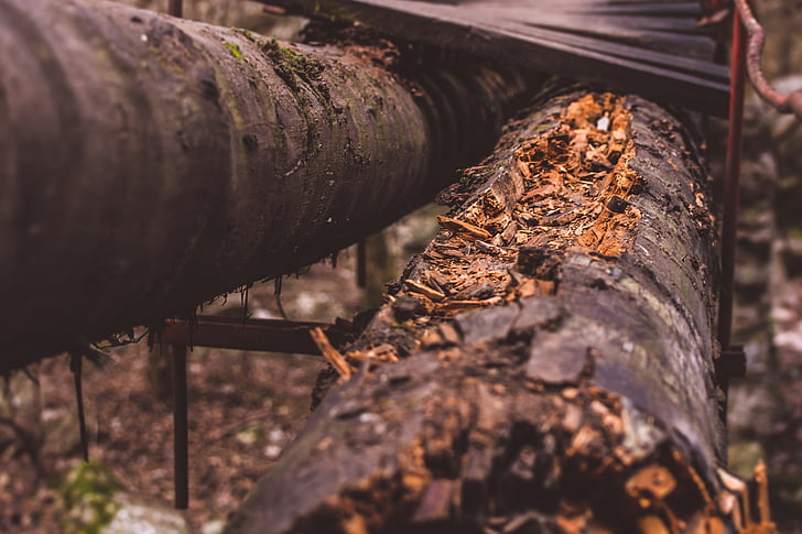 nature, wood, forrest, industry, steel