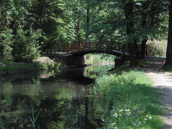 naturaleza, Río, verde, agua, puente, Parque, a pie
