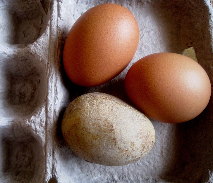 eggs, chicken, stone, pebble, egg shaped, egg box, food