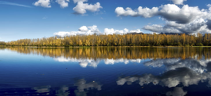 風景, 風光明媚です, チェイニー湖, アンカレッジ, アラスカ, アメリカ, 秋
