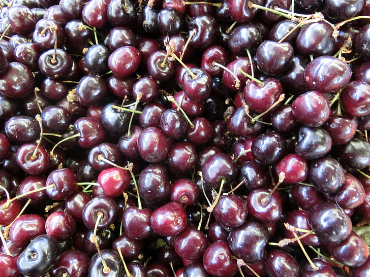 cherries, wild cherry, fruit, red, food, freshness, ripe