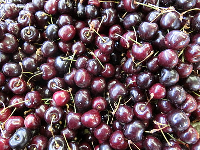 cherries, wild cherry, fruit, red, food, freshness, ripe