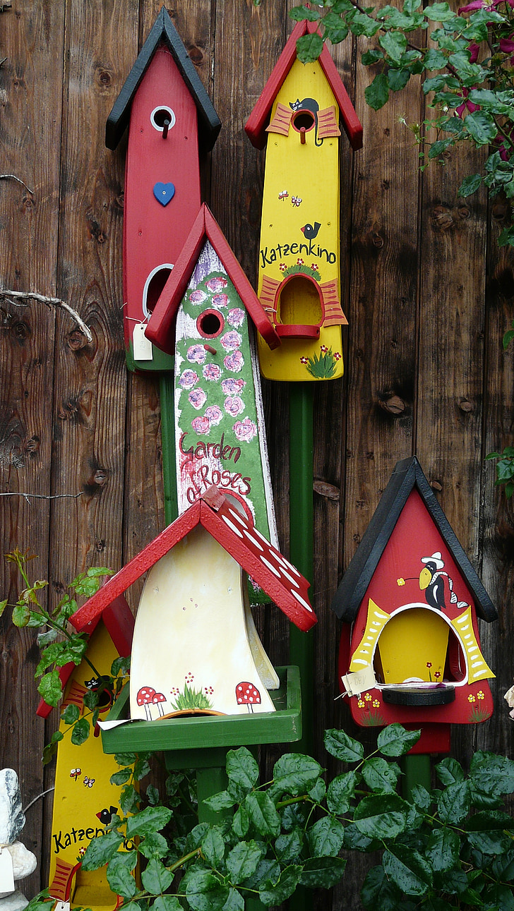 aviary, colorful, bird feeder, color