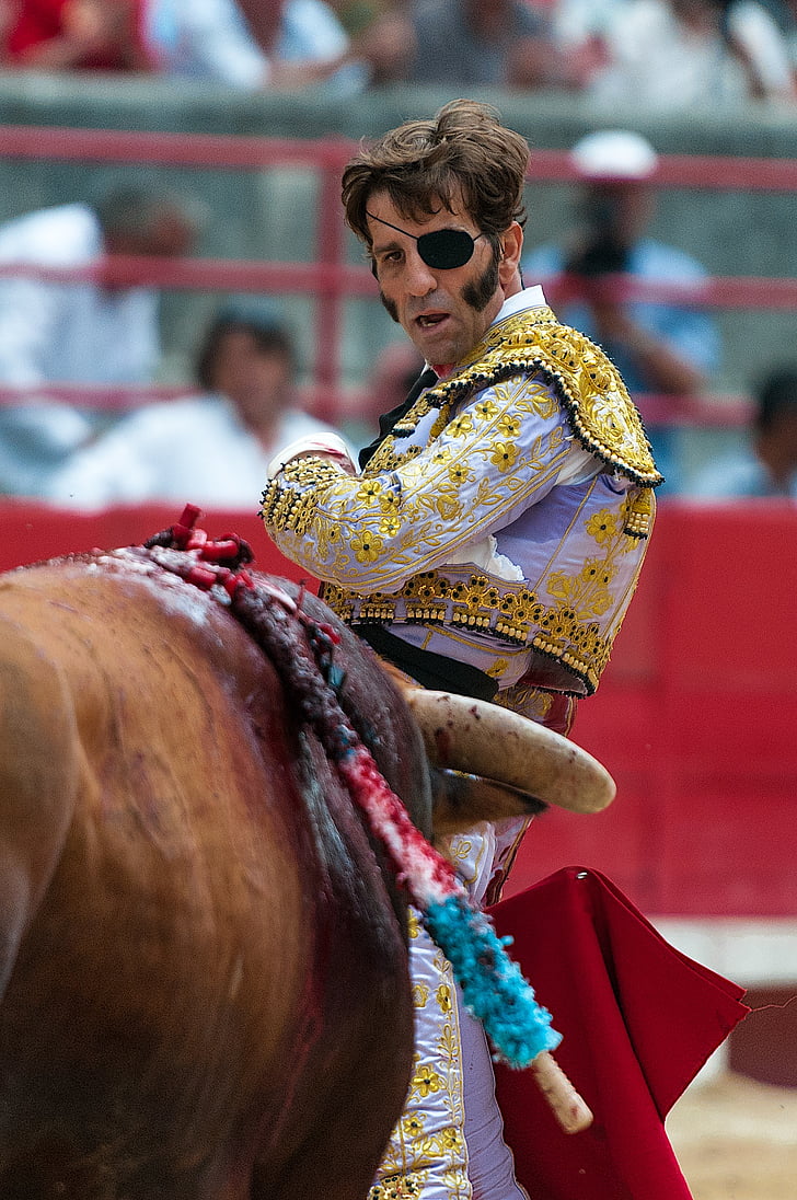 bullfight, toreador, bò đực, Arenas, Padilla