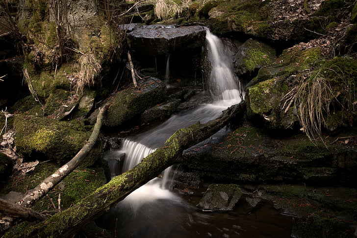 fiume, diretta streaming, acqua, la natura della, naso che cola, cascata, foresta