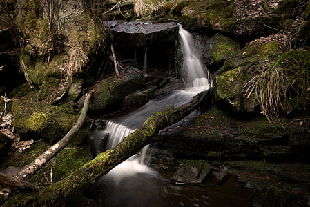 Fluss, Stream, Wasser, die Natur der, laufende, Wasserfall, Wald