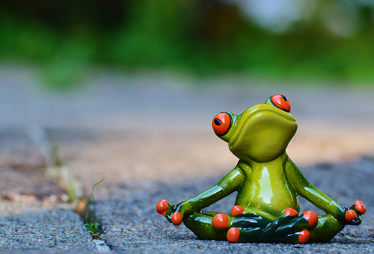 yoga, frog, relaxed, figure, funny, rest, relaxation