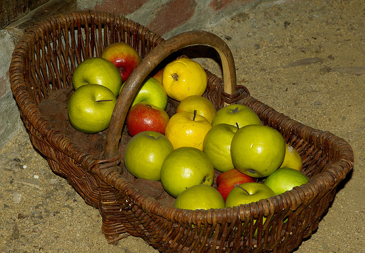 krepšys, obuoliai, kolekcija
