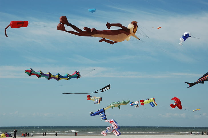 kite, beach, berck-plage, wind, sky, sea, flying