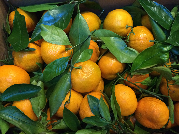 appelsiinit, hedelmät, Citrus, terve, orgaaninen, kypsä, maatalous