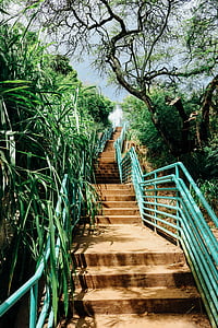 schody, Vonkajší, chodník, schodisko, Príroda, stromy, Zelená