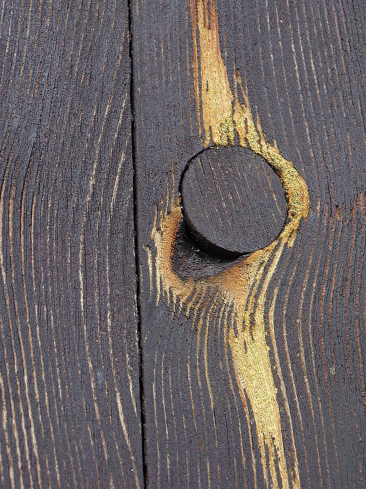 bois, nœud, en détail, Couleur, clôture