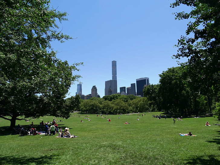 New york, Central park, persone, rilassarsi, giorno, verde, natura