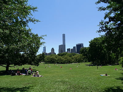 New york, Central park, mensen, ontspannen, dag, groen, natuur