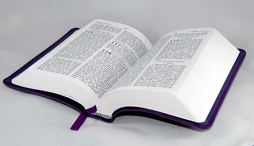 Bíblia, livro, Centro, Cristo, cristão, Cristianismo, capa