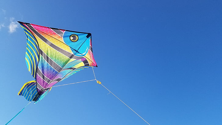 kite surfing, jacksonville, florida, blue, multi colored, copy space, kite - toy
