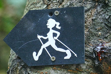 字符, 符号, 徒步旅行, 行走, 注意, 自然, 森林