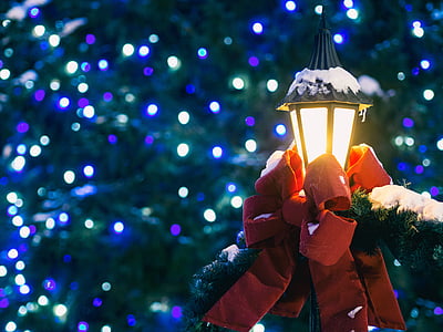 фенер, лампа, червен, панделки, близо до, Коледа, дърво