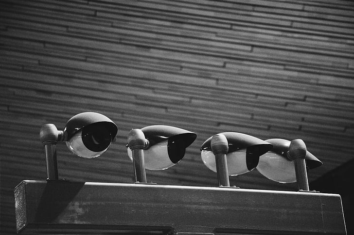 kamera, hitam, putih, Rotterdam, serat kayu papan, parit, Belanda