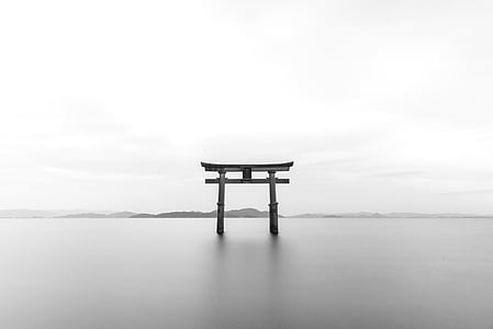tori, Torii, Santuario, b w, bianco e nero, Giapponese, punto di riferimento