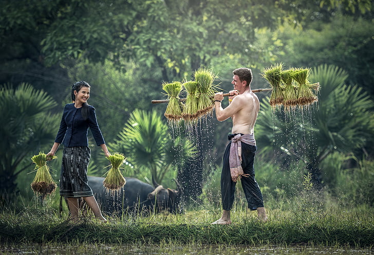 adult, agriculture, Asian, countryside, cultivate, culture, cute