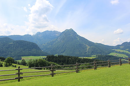 bergen, Alpin, betesmark, betesmark, staket, Österrike, Salzburg