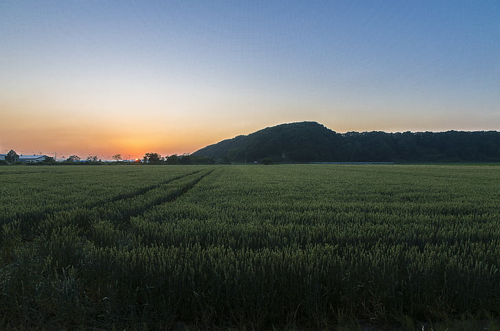 solnedgång, Hokkaido, naturliga