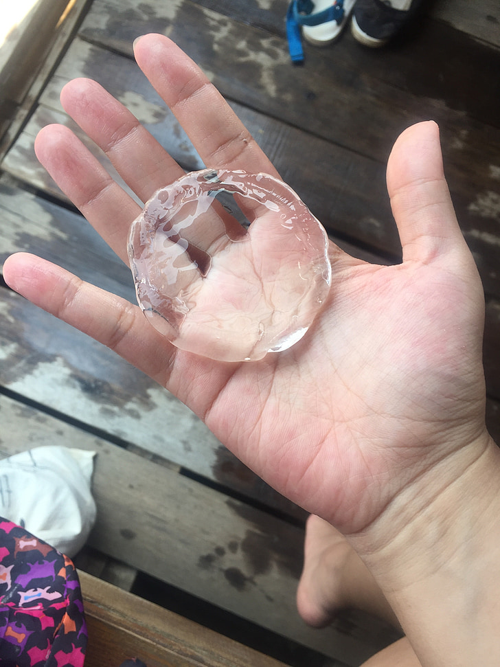 hand, jellyfish, clear, sea, fish, tropical, ocean