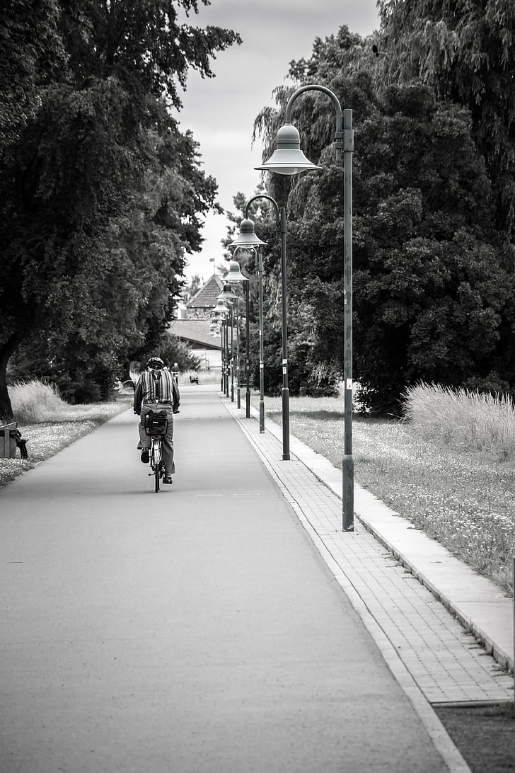 Avenue, fenerler, bisikletçiler, uzakta, yol, Bisiklete binme, Sadece