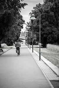 Avenue, lanternes, cyclistes, suite, route, vélos de route, juste