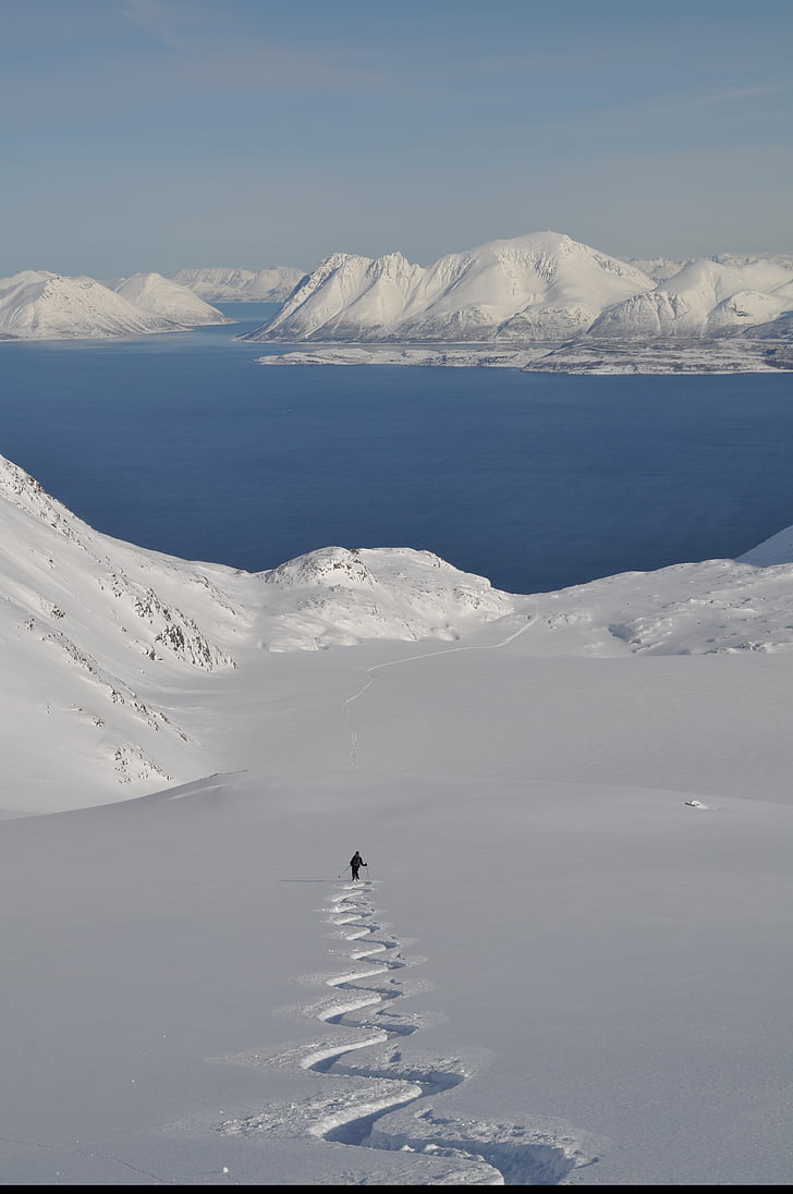 ski, faire du ski dans l’arrière-pays, alpin, Norvège, Lyngen, Alpes, poudre