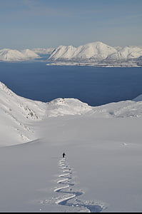 스키, 오지 skiiing, 알파인, 노르웨이, lyngen, 알프스, 분말
