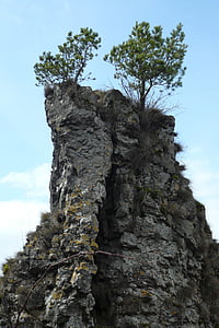 rock, pine, cliff, mountain pine, gerolstein, eifel, sky
