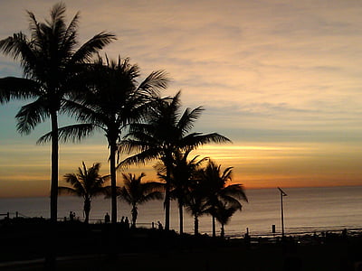 palmy, drzewa, palmy, Ocean, Latem, zachód słońca