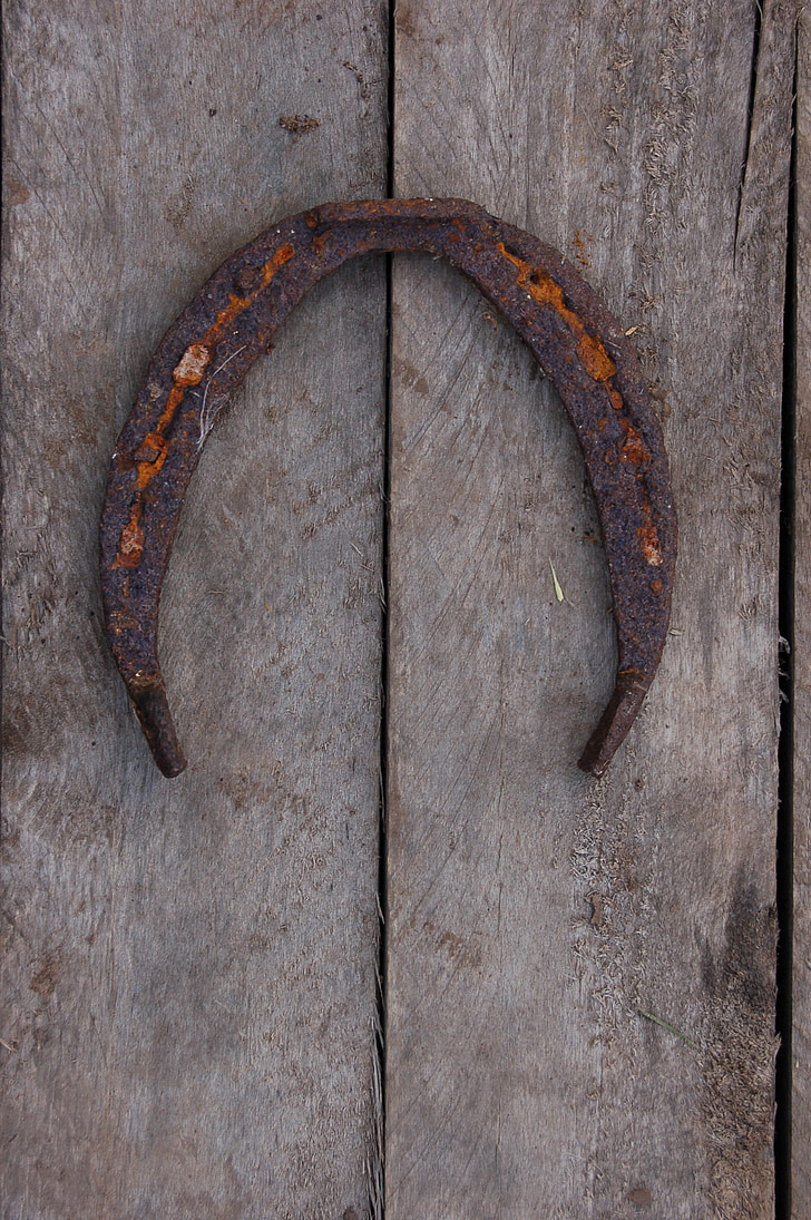 horseshoe, vintage, tree, old, retro, rustic, closeup