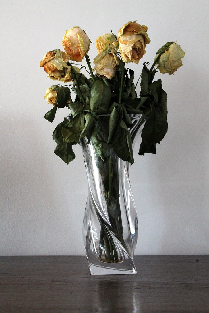 vase, fleurs, Rose, feuilles