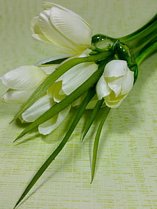 チューリップ, ホワイト, 春, 花, 花瓶
